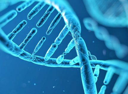 Termociclador de PCR em Tempo Real – Saiba suas Funções.