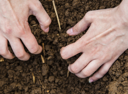 Impactos de Fertilizantes Químicos na Qualidade do Solo