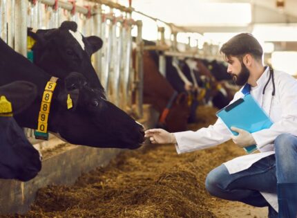 Microbiologia Veterinária: Controle de Doenças em Animais