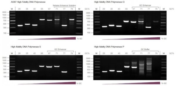 AQ97 High Fidelity DNA Polymerase (2U/µl with 5x AQ97 Buffer) - Image 3